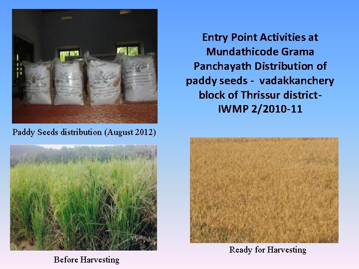 Entry Point Activities at Mundathicode Grama Panchayath Distribution of paddy seeds - vadakkanchery block