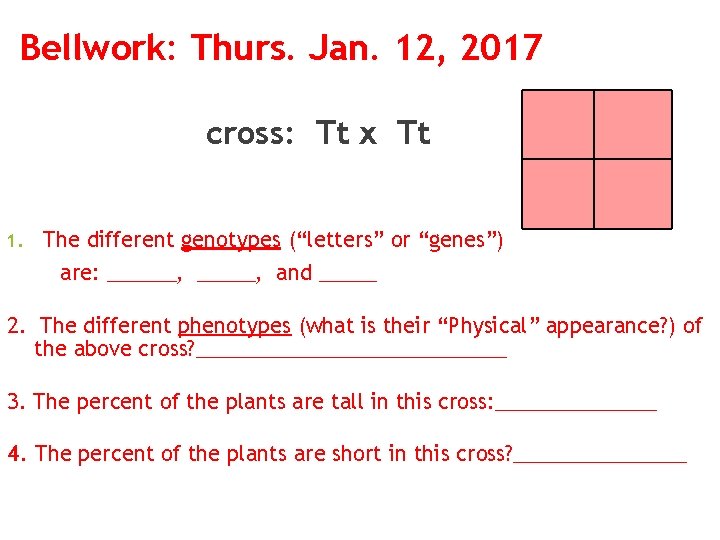 Bellwork: Thurs. Jan. 12, 2017 cross: Tt x Tt 1. The different genotypes (“letters”