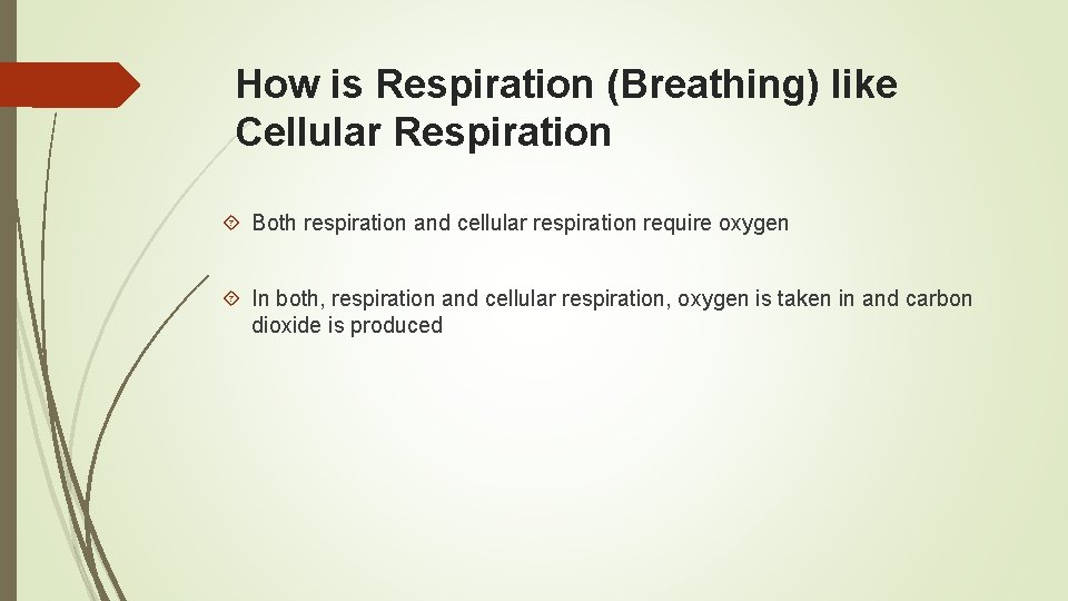 How is Respiration (Breathing) like Cellular Respiration Both respiration and cellular respiration require oxygen