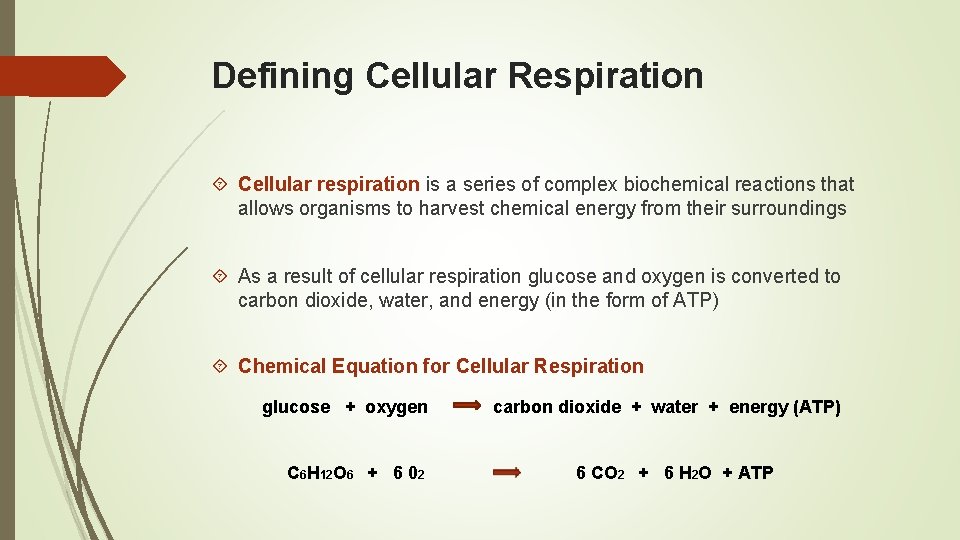 Defining Cellular Respiration Cellular respiration is a series of complex biochemical reactions that allows