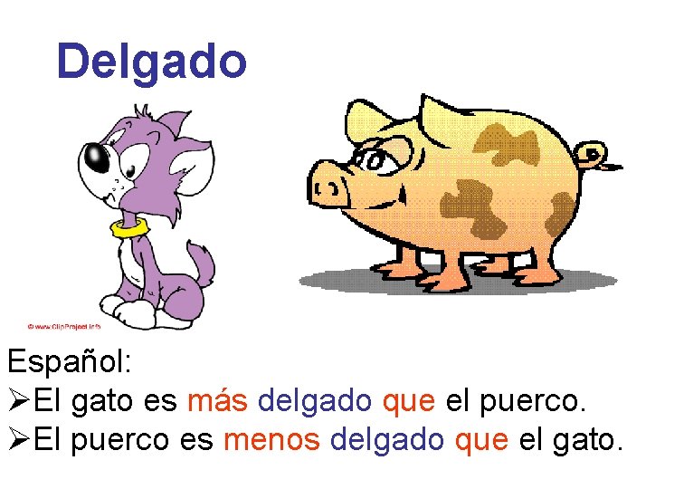 Delgado Español: ØEl gato es más delgado que el puerco. ØEl puerco es menos