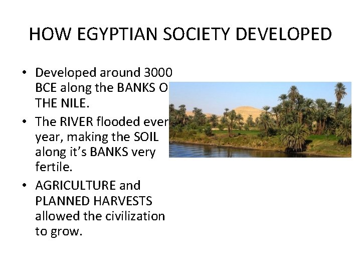 HOW EGYPTIAN SOCIETY DEVELOPED • Developed around 3000 BCE along the BANKS OF THE