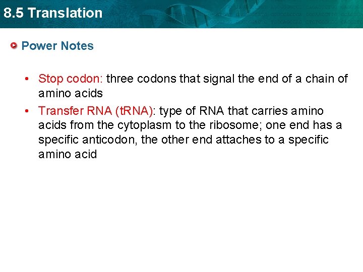 8. 5 Translation Power Notes • Stop codon: three codons that signal the end