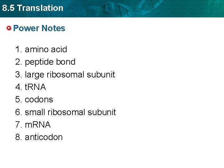 8. 5 Translation Power Notes 1. amino acid 2. peptide bond 3. large ribosomal