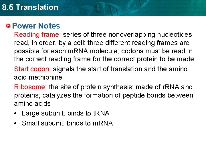 8. 5 Translation Power Notes Reading frame: series of three nonoverlapping nucleotides read, in