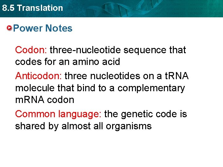8. 5 Translation Power Notes Codon: three-nucleotide sequence that codes for an amino acid