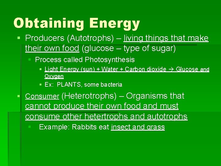 Obtaining Energy § Producers (Autotrophs) – living things that make their own food (glucose