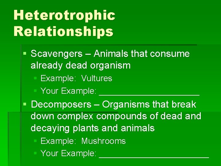 Heterotrophic Relationships § Scavengers – Animals that consume already dead organism § Example: Vultures