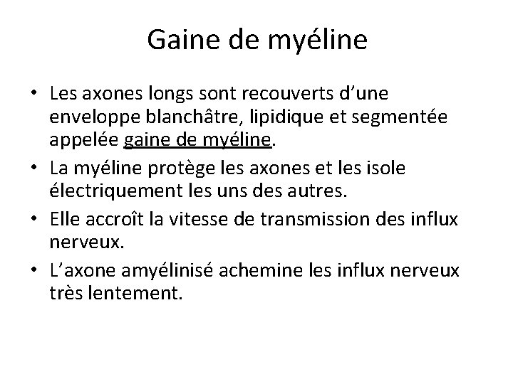 Gaine de myéline • Les axones longs sont recouverts d’une enveloppe blanchâtre, lipidique et