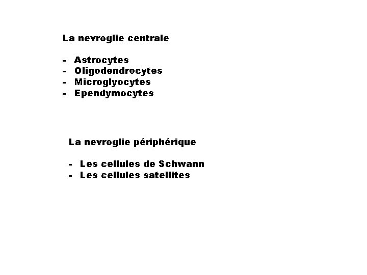 La nevroglie centrale - Astrocytes Oligodendrocytes Microglyocytes Ependymocytes La nevroglie périphérique - Les cellules