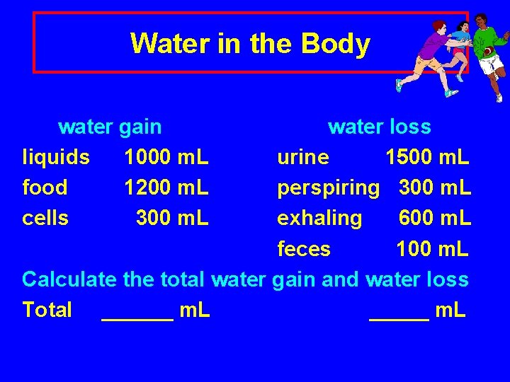 Water in the Body water gain liquids 1000 m. L food 1200 m. L