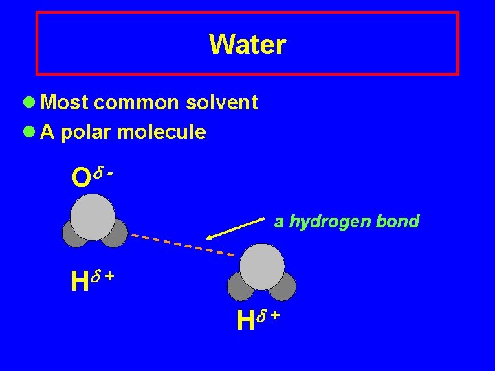 Water l Most common solvent l A polar molecule O a hydrogen bond H