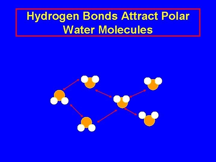 Hydrogen Bonds Attract Polar Water Molecules 