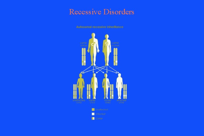 Recessive Disorders 