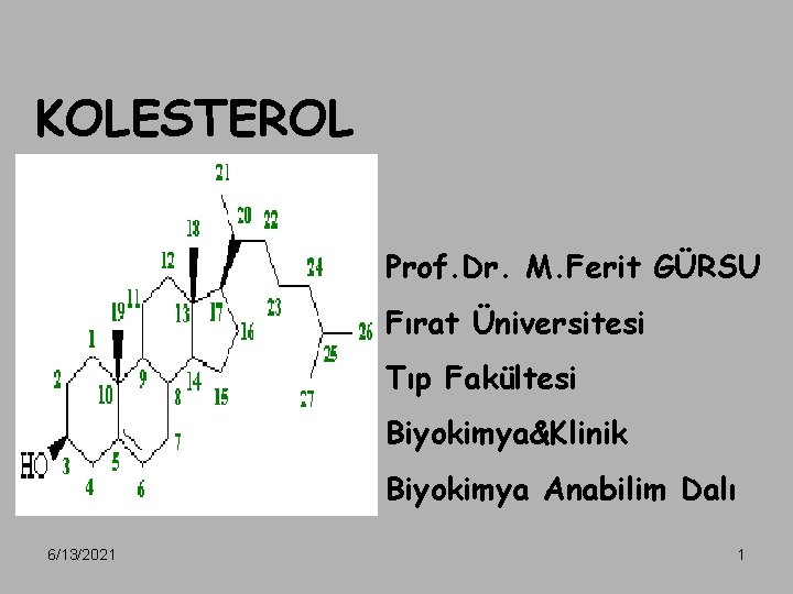 KOLESTEROL Prof. Dr. M. Ferit GÜRSU Fırat Üniversitesi Tıp Fakültesi Biyokimya&Klinik Biyokimya Anabilim Dalı