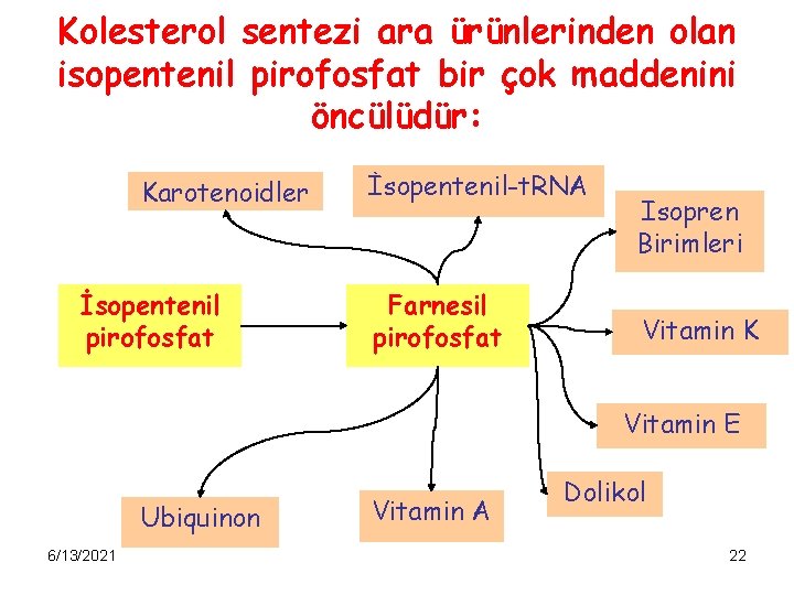 Kolesterol sentezi ara ürünlerinden olan isopentenil pirofosfat bir çok maddenini öncülüdür: Karotenoidler İsopentenil pirofosfat