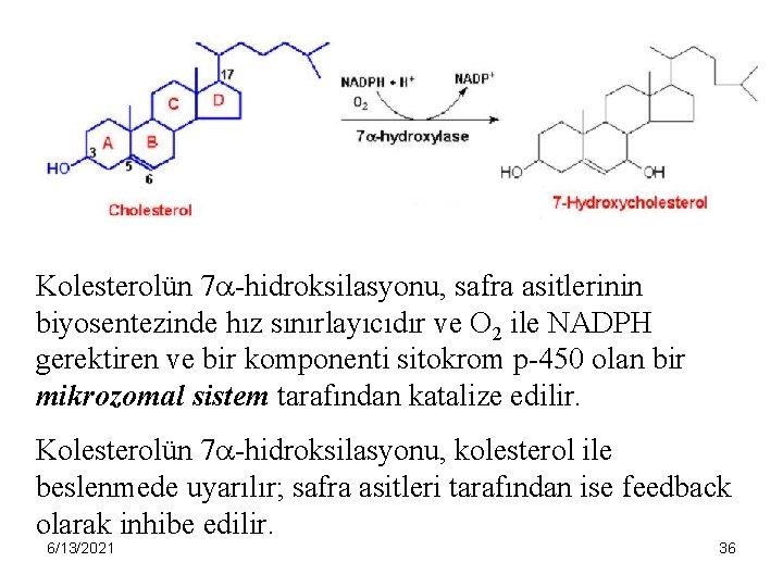 Kolesterolün 7 -hidroksilasyonu, safra asitlerinin biyosentezinde hız sınırlayıcıdır ve O 2 ile NADPH gerektiren