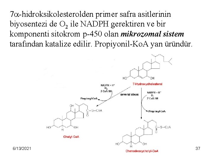 7 -hidroksikolesterolden primer safra asitlerinin biyosentezi de O 2 ile NADPH gerektiren ve bir
