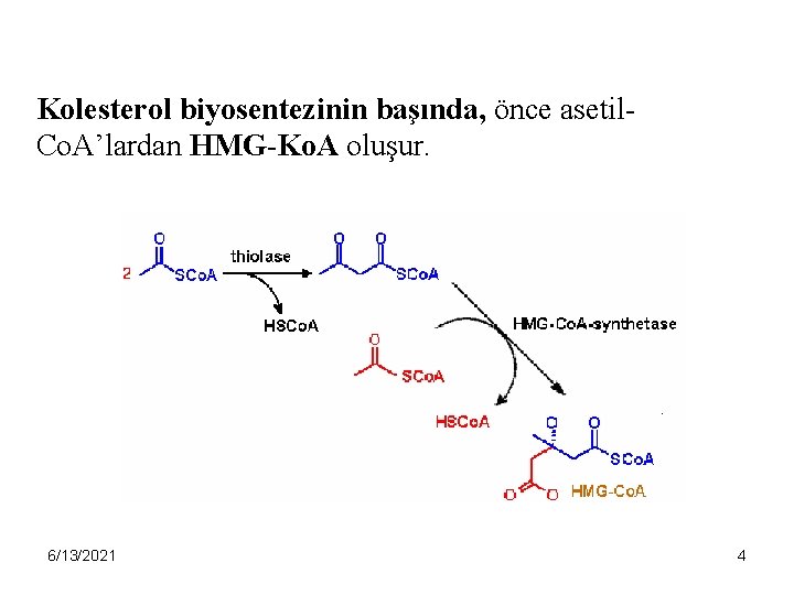 Kolesterol biyosentezinin başında, önce asetil. Co. A’lardan HMG-Ko. A oluşur. 6/13/2021 4 