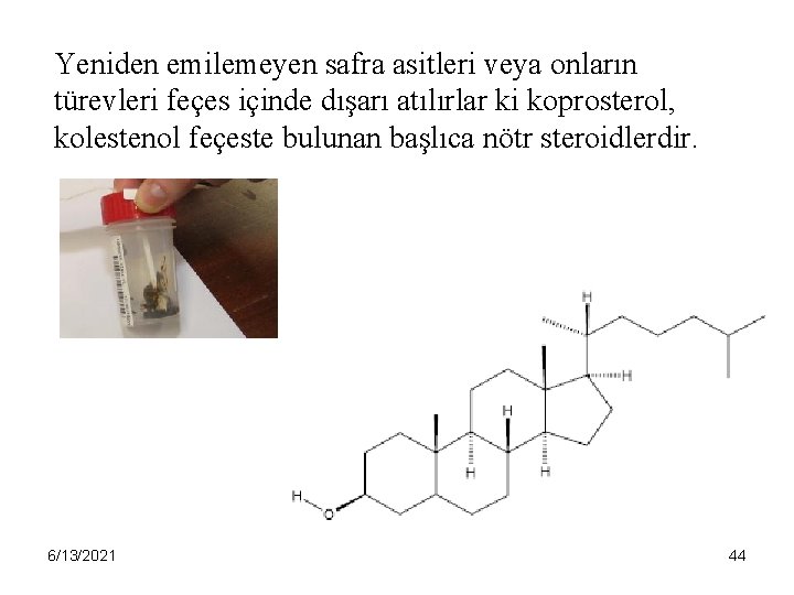 Yeniden emilemeyen safra asitleri veya onların türevleri feçes içinde dışarı atılırlar ki koprosterol, kolestenol