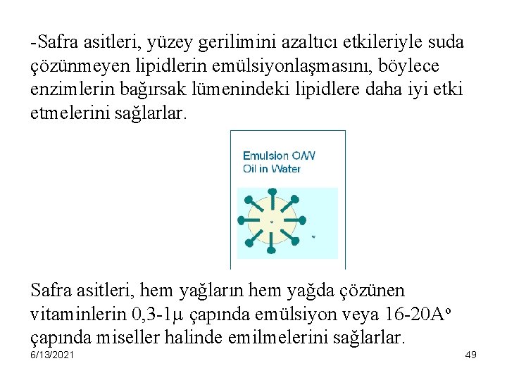 -Safra asitleri, yüzey gerilimini azaltıcı etkileriyle suda çözünmeyen lipidlerin emülsiyonlaşmasını, böylece enzimlerin bağırsak lümenindeki