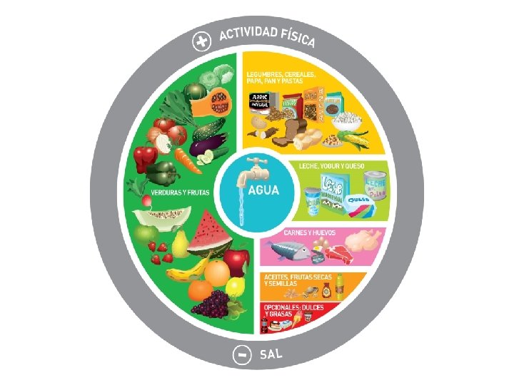 GRAFICA DE LA ALIMENTACIÓN SALUDABLE PARA LA POBLACIÓN ARGENTINA 2015 www. msal. gob. ar