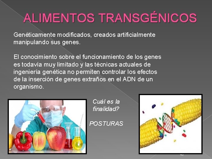 ALIMENTOS TRANSGÉNICOS Genéticamente modificados, creados artificialmente manipulando sus genes. El conocimiento sobre el funcionamiento