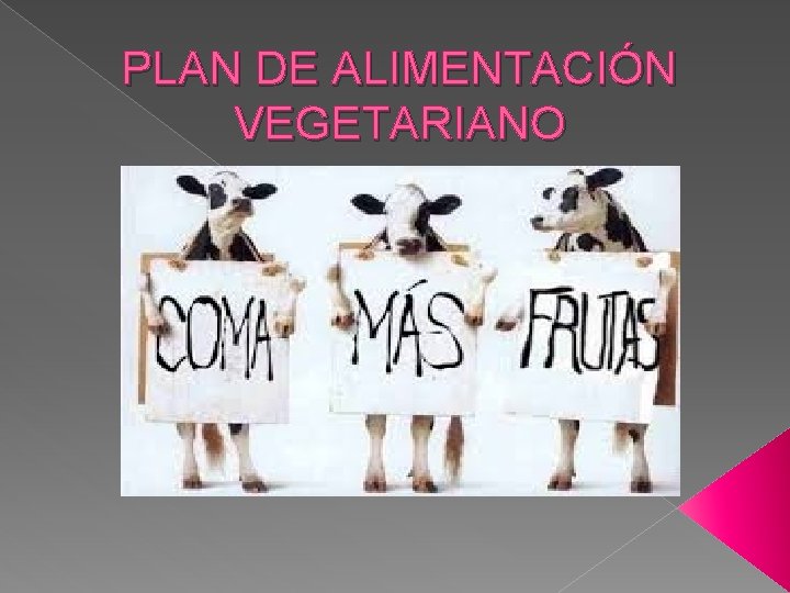 PLAN DE ALIMENTACIÓN VEGETARIANO 