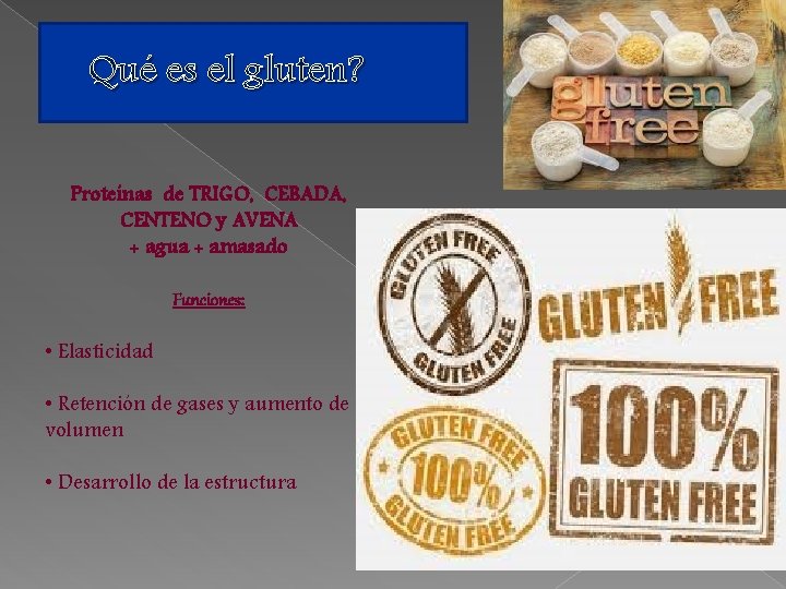Qué es el gluten? Proteínas de TRIGO, CEBADA, CENTENO y AVENA + agua +