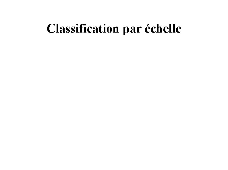 Classification par échelle 