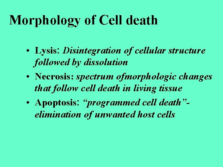 Morphology of Cell death • Lysis: Disintegration of cellular structure followed by dissolution •