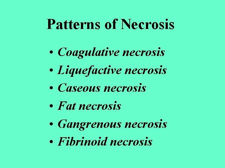 Patterns of Necrosis • • • Coagulative necrosis Liquefactive necrosis Caseous necrosis Fat necrosis