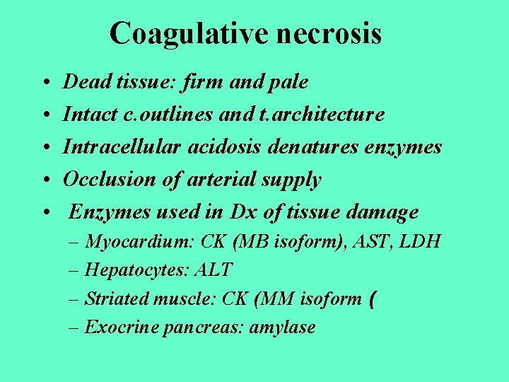 Coagulative necrosis • • • Dead tissue: firm and pale Intact c. outlines and