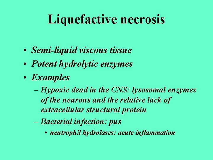 Liquefactive necrosis • Semi-liquid viscous tissue • Potent hydrolytic enzymes • Examples – Hypoxic