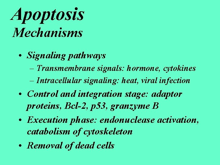 Apoptosis Mechanisms • Signaling pathways – Transmembrane signals: hormone, cytokines – Intracellular signaling: heat,