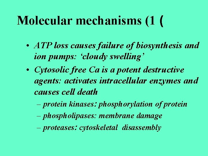 Molecular mechanisms (1 ( • ATP loss causes failure of biosynthesis and ion pumps: