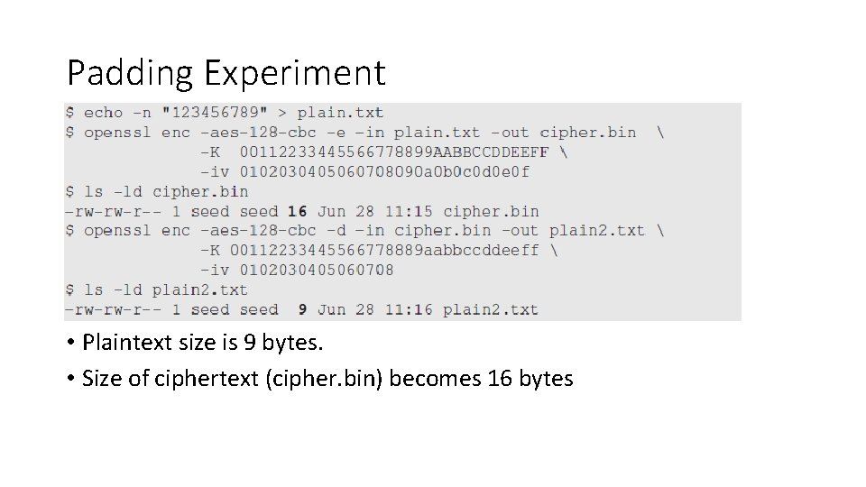 Padding Experiment • Plaintext size is 9 bytes. • Size of ciphertext (cipher. bin)