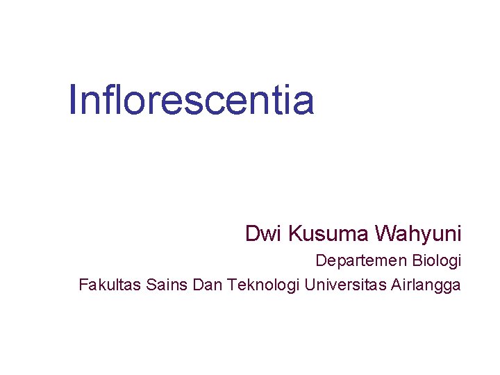 Inflorescentia Dwi Kusuma Wahyuni Departemen Biologi Fakultas Sains Dan Teknologi Universitas Airlangga 