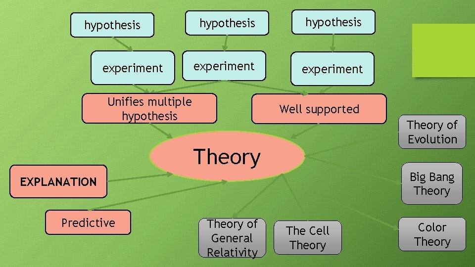 hypothesis experiment Unifies multiple hypothesis Well supported Theory of Evolution Theory Big Bang Theory