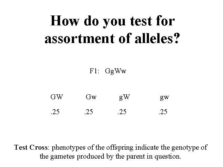 How do you test for assortment of alleles? F 1: Gg. Ww GW Gw