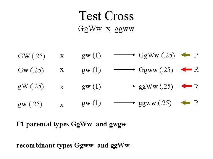 Test Cross Gg. Ww x ggww GW (. 25) x gw (1) Gg. Ww