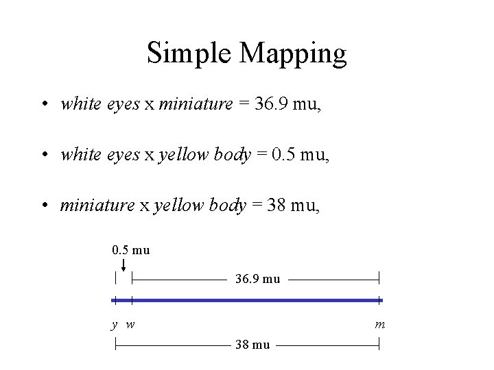 Simple Mapping • white eyes x miniature = 36. 9 mu, • white eyes