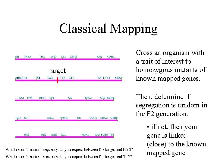 Classical Mapping target Cross an organism with a trait of interest to homozygous mutants