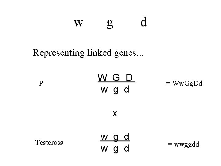 w g d Representing linked genes. . . P W G D w g