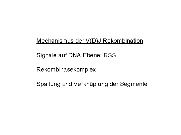 Mechanismus der V(D)J Rekombination Signale auf DNA Ebene: RSS Rekombinasekomplex Spaltung und Verknüpfung der