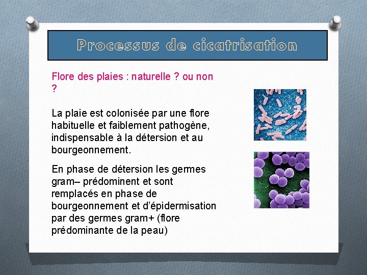 Processus de cicatrisation Flore des plaies : naturelle ? ou non ? La plaie Processus de cicatrisation Flore des plaies : naturelle ? ou non ? La plaie