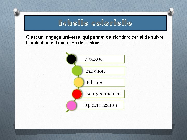 Echelle colorielle C’est un langage universel qui permet de standardiser et de suivre l’évaluation Echelle colorielle C’est un langage universel qui permet de standardiser et de suivre l’évaluation