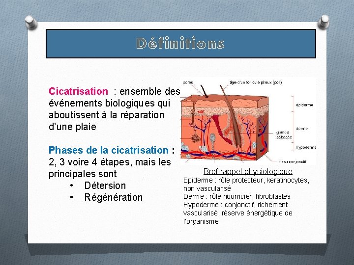 Définitions Cicatrisation : ensemble des événements biologiques qui aboutissent à la réparation d’une plaie Définitions Cicatrisation : ensemble des événements biologiques qui aboutissent à la réparation d’une plaie
