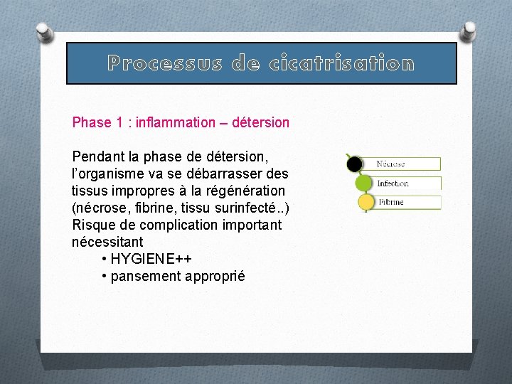 Processus de cicatrisation Phase 1 : inflammation – détersion Pendant la phase de détersion, Processus de cicatrisation Phase 1 : inflammation – détersion Pendant la phase de détersion,