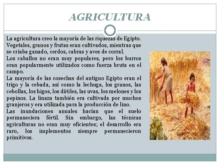 AGRICULTURA La agricultura creo la mayoría de las riquezas de Egipto. Vegetales, granos y